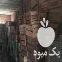 فروش جعبه چوبی پرتقال در ساری در گروه خرید فروش عمده پرتقال - پرتقال رسمی تامسون خونی جنوب در یکمیوه