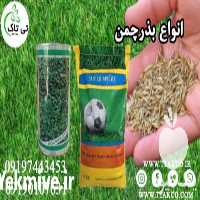 فروش بذر چمن در تهران در گروه خرید فروش بذر - انواع محصول کشاورزی گوجه کتان میوه درخت در یکمیوه