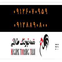 فروش پولت تخمگذار در تهران در گروه مرغ و خروس و بوقلمون و اردک قو قاز در یکمیوه