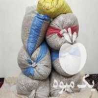 فروش پسته کله قوچی در مشهد در گروه پسته - کوهی شامی خام اکبری تازه کله قوچی در یکمیوه