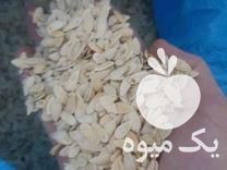 فروش تخمه طالبی در ساوه در گروه خرید فروش عمده آفتابگردان - تخمه خوی دیم گل در یکمیوه -عکس1