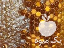 فروش عسل گون  در مراغه در گروه عسل شیره و فرآورده ی مربا - طبیعی گون کوهی آویشن در یکمیوه -عکس1