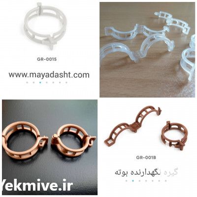 فروش بست بوته در تهران در گروه خرید فروش عمده گوجه فرنگی - فرنگی سبز قرمز سیاه کبابی ربی در یکمیوه -عکس1