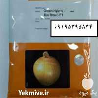 فروش بذر پیاز ریوبراوو در تهران در گروه خرید فروش عمده پیاز - قرمز سفید زرد ترشی تازه انباری در یکمیوه