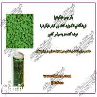 فروش انواع بذر چمن  در تهران در گروه خرید فروش بذر - انواع محصول کشاورزی گوجه کتان میوه درخت در یکمیوه