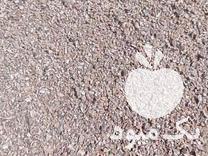 فروش پوست گردو آسیاب شده در فرسفج در گروه گردو - کاغذی سنگی سوزنی خوشه ای توسرکان در یکمیوه -عکس1