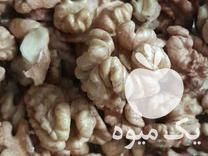 فروش گردو کاغذی ارگانیک در کرج در گروه گردو - کاغذی سنگی سوزنی خوشه ای توسرکان در یکمیوه -عکس1