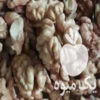 فروش گردو کاغذی ارگانیک در کرج در گروه گردو - کاغذی سنگی سوزنی خوشه ای توسرکان در یکمیوه