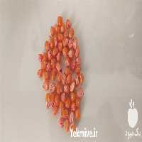 فروش بذر یونجه در سمنان در گروه خرید فروش بذر - انواع محصول کشاورزی گوجه کتان میوه درخت در یکمیوه