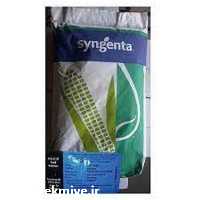 آگهی مشابه فروش بذر ذرت دراخما در سمنان در گروه خرید فروش بذر - انواع محصول کشاورزی گوجه کتان میوه درخت در یکمیوه