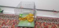 قفس پرنده در حد نو بازی در تهران در گروه انواع پرنده - زینتی عروس هما مینا طوطی مرغ عشق در یکمیوه
