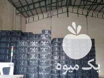 فروش سبد 14 کیلویی گوجه ای در قائم شهر در گروه خرید فروش انواع سبد - میوه پلاستیکی چوبی گل در یکمیوه -عکس1