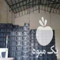 فروش سبد 14 کیلویی گوجه ای در قائم شهر در گروه خرید فروش انواع سبد - میوه پلاستیکی چوبی گل در یکمیوه