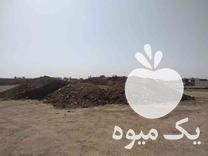 فروش کود حیوانی  در بابل  در گروه خرید فروش کود و مواد شیمیایی - اوره پتاس مرغی کمپوست آهن در یکمیوه -عکس1