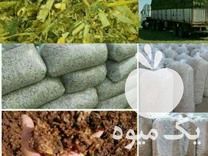 فروش یونجه در میاندوآب در گروه خوراک دام و طیور - پرواری شیری علوفه یونجه در یکمیوه -عکس1