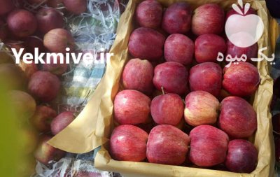 فروش سیب قرمز در ترکمانچای در گروه خرید فروش عمده سیب - زرد و قرمز گلاب پاییزه در یکمیوه