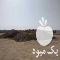 فروش کود حیوانی  در بابل  در گروه خرید فروش کود و مواد شیمیایی - اوره پتاس مرغی کمپوست آهن در یکمیوه