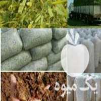 فروش یونجه در میاندوآب در گروه خوراک دام و طیور - پرواری شیری علوفه یونجه در یکمیوه