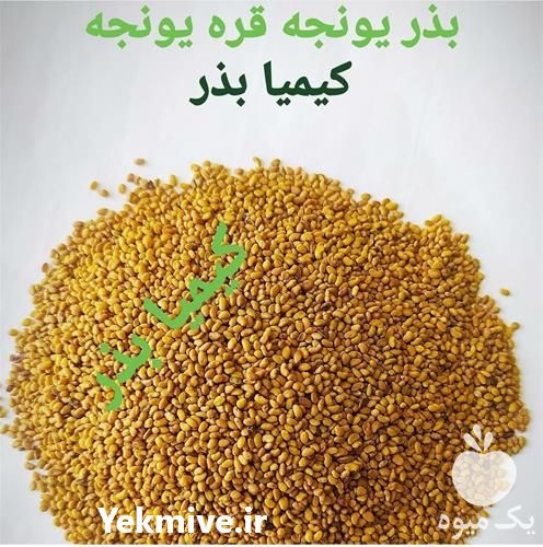 فروش بذر یونجه در تهران در گروه خرید فروش بذر - انواع محصول کشاورزی گوجه کتان میوه درخت در یکمیوه -عکس1