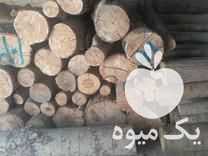 فروش چوب صنوبر  در اصفهان در گروه خرید فروش عمده چوب- زغال چوب گردو تبریزی خام در یکمیوه -عکس1