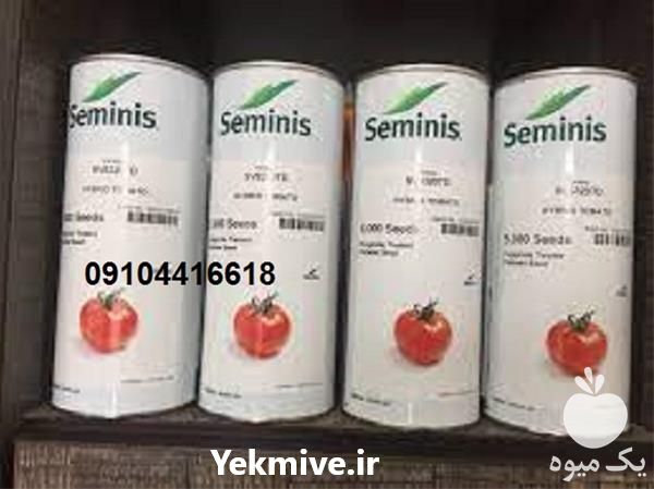 تولید و فروش بذر گوجه فرنگی هیبرید  در همدان در گروه خرید فروش بذر - انواع محصول کشاورزی گوجه کتان میوه درخت در یکمیوه -عکس1