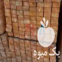 فروش چوب روسی در نوشهر در گروه خرید فروش عمده چوب- زغال چوب گردو تبریزی خام در یکمیوه