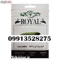 فروش بذر خیار رویال در قم در گروه خرید فروش بذر - انواع محصول کشاورزی گوجه کتان میوه درخت در یکمیوه