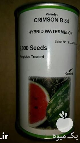 فروش ویژه بذر هندوانه بی 32 در تهران در گروه خرید فروش بذر - انواع محصول کشاورزی گوجه کتان میوه درخت در یکمیوه -عکس1