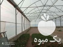 فروش تجهیزات گلخانه در بابل  در گروه سازنده - گلخانه باغ مدرن سالن صنعتی سوله انبار در یکمیوه -عکس1