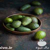 فروش نهال آووکادو پیوندی در تهران در گروه خرید فروش نهال - انواع گردو پسته بادام سلطانی انگور در یکمیوه