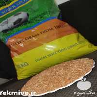 فروش بذر چمن در تهران در گروه خرید فروش عمده گیاهان زینتی - گرمسیری آپارتمانی باغچه آب در یکمیوه