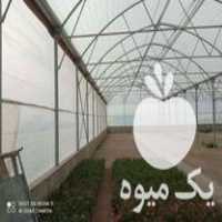 فروش تجهیزات گلخانه در بابل  در گروه سازنده - گلخانه باغ مدرن سالن صنعتی سوله انبار در یکمیوه