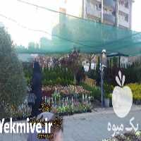 فروش توری شید گلخانه در تهران در گروه خرید فروش انواع پوشش ها و ورق ها - پلی استر پلی کربنات نایلون در یکمیوه