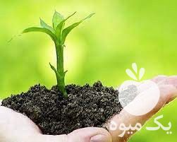 فروش کلات آهن و منیزیم در تهران در گروه خرید فروش کود و مواد شیمیایی - اوره پتاس مرغی کمپوست آهن در یکمیوه -عکس1