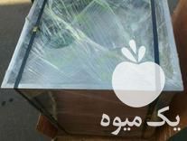 فروش دستگاه اسلایسر تیغه ثابت در گروه خرید و فروش دستگاه کشاورزی در یکمیوه -عکس1