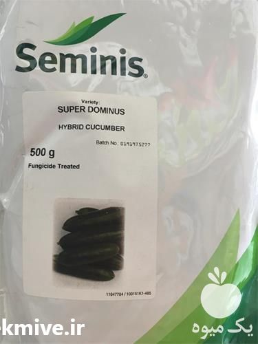 فروش بذر خیار سوپر دومینوس در کرمان  در گروه خرید فروش بذر - انواع محصول کشاورزی گوجه کتان میوه درخت در یکمیوه -عکس1