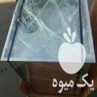 فروش دستگاه اسلایسر تیغه ثابت در گروه خرید و فروش دستگاه کشاورزی در یکمیوه