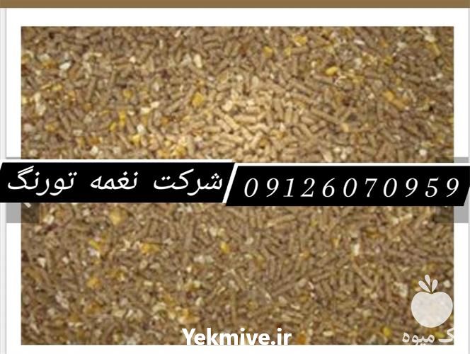 فروش دان بلدرچین و دان بوقلمون گوشتی در تهران در گروه مرغ و خروس و بوقلمون و اردک قو قاز در یکمیوه -عکس1