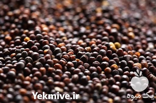 فروش عمده دانه کلزا در تهران در گروه خرید فروش عمده کلزا - روغنی خوزستان مازندران کاشت دانه در یکمیوه -عکس1