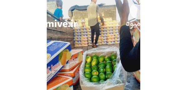 فروش سه دانگ حجره در تهران در گروه حجره در میدان تره بار - میادین میوه و تره بار مرکزی شهری استان در یکمیوه -عکس1