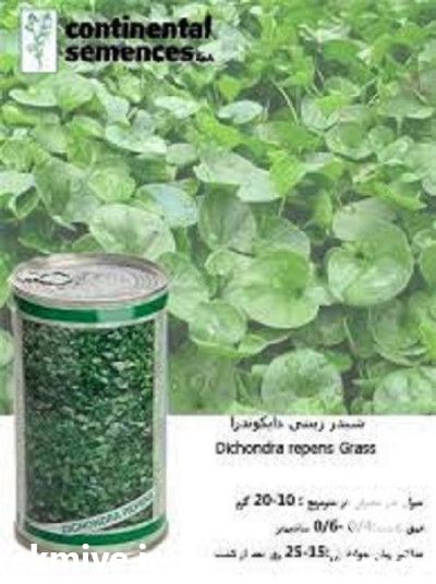 فروش بذر چمن دایکوندرا در تهران در گروه سازنده - گلخانه باغ مدرن سالن صنعتی سوله انبار در یکمیوه -عکس1