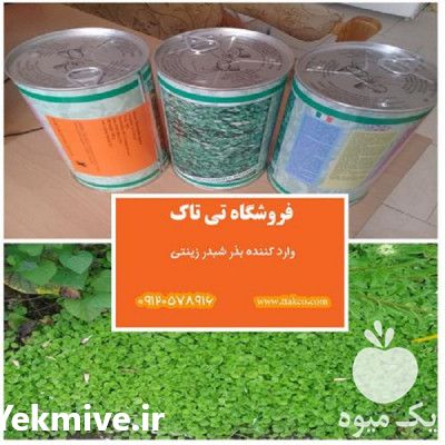 فروش بذر شبدر زینتی دایکوندرا  در تهران در گروه خرید فروش بذر - انواع محصول کشاورزی گوجه کتان میوه درخت در یکمیوه -عکس1