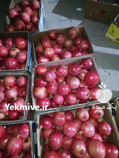 فروش انار صادراتی و رب انار درجه یک ساوه در مركزی در گروه خرید فروش عمده انار - ساوه شیراز شیرین ترش در یکمیوه -عکس1