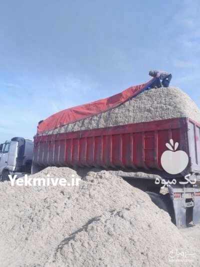 کاه نیشکر تازه در زرین شهر در گروه خوراک دام و طیور - پرواری شیری علوفه یونجه در یکمیوه -عکس1