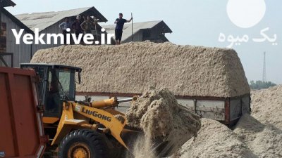 کاه نیشکر تازه در زرین شهر در گروه خوراک دام و طیور - پرواری شیری علوفه یونجه در یکمیوه -عکس2