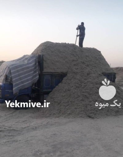 کاه نیشکر تازه در زرین شهر در گروه خوراک دام و طیور - پرواری شیری علوفه یونجه در یکمیوه -عکس3