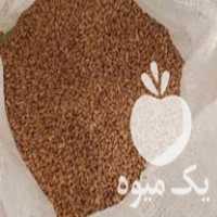 فروش گندم آبی مخصوص بذر در بروجرد در گروه خرید فروش بذر - انواع محصول کشاورزی گوجه کتان میوه درخت در یکمیوه