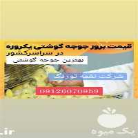 فروش جوجه گوشتی فلکس در تهران در گروه مرغ و خروس و بوقلمون و اردک قو قاز در یکمیوه