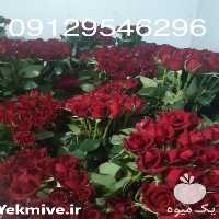 فروش عمده گل شاخه بریده در تهران در گروه خرید فروش عمده گیاهان زینتی - گرمسیری آپارتمانی باغچه آب در یکمیوه