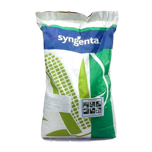 فروش بذر ذرت سینجنتا دراخما در تهران در گروه خرید فروش بذر - انواع محصول کشاورزی گوجه کتان میوه درخت در یکمیوه -عکس1